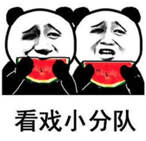 娱乐吃瓜表情图片可爱